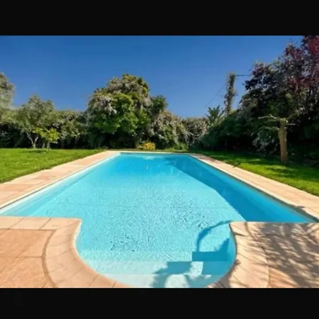 Provencale